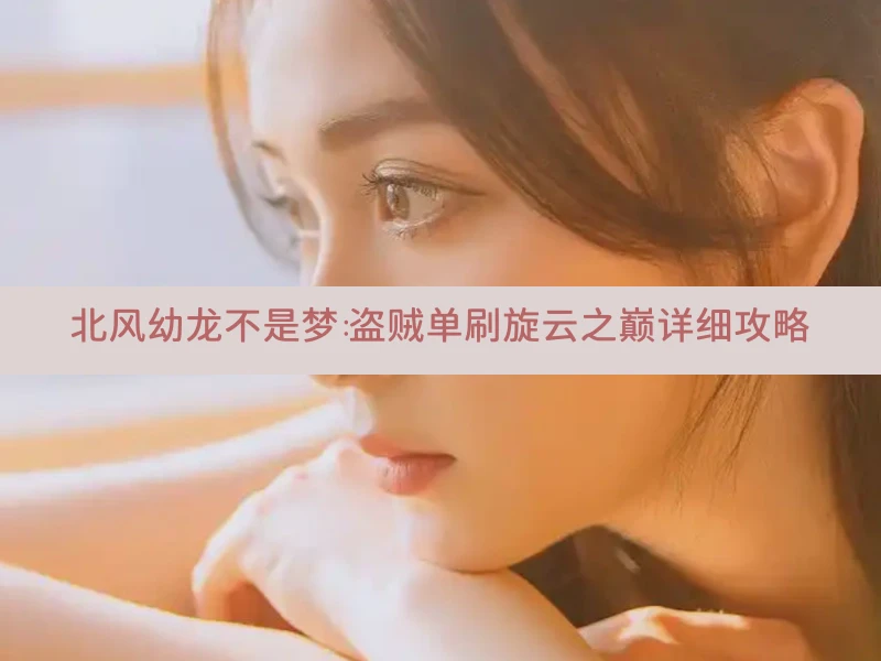 北风幼龙不是梦：盗贼单刷旋云之巅详细攻略