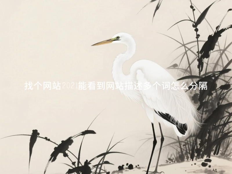 找个网站2021能看到网站描述多个词怎么分隔
