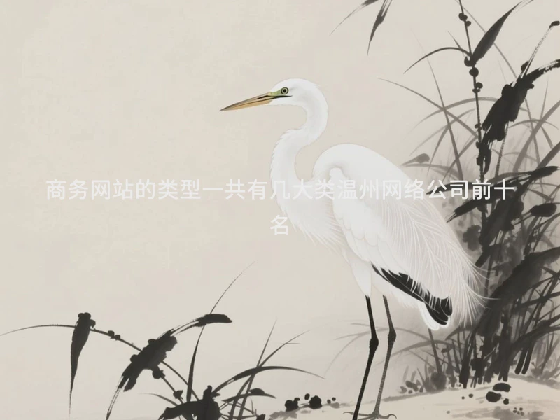 商务网站的类型一共有几大类温州网络公司前十名