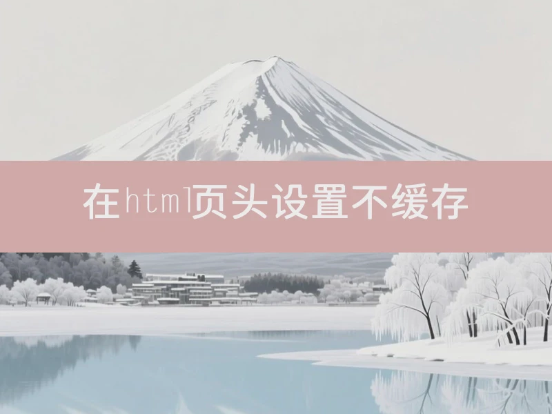 在html页头设置不缓存
