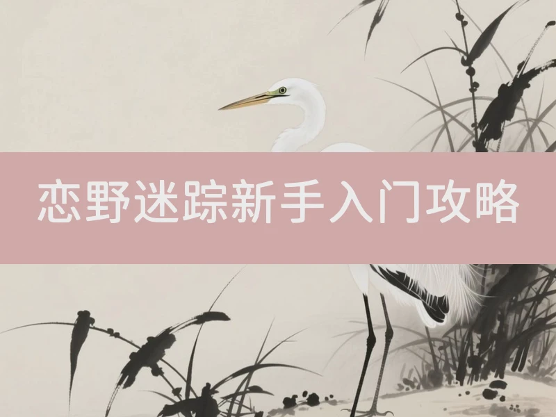 恋野迷踪新手入门攻略