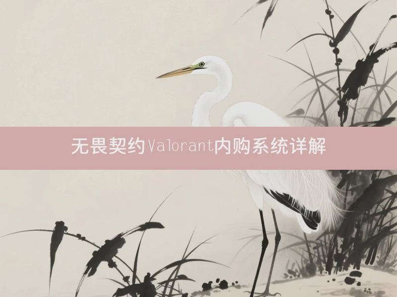 无畏契约Valorant内购系统详解