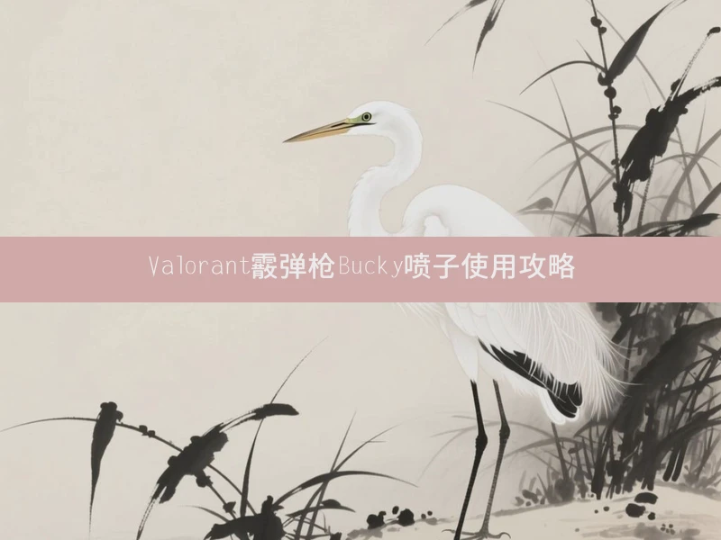 Valorant霰弹枪Bucky喷子使用攻略