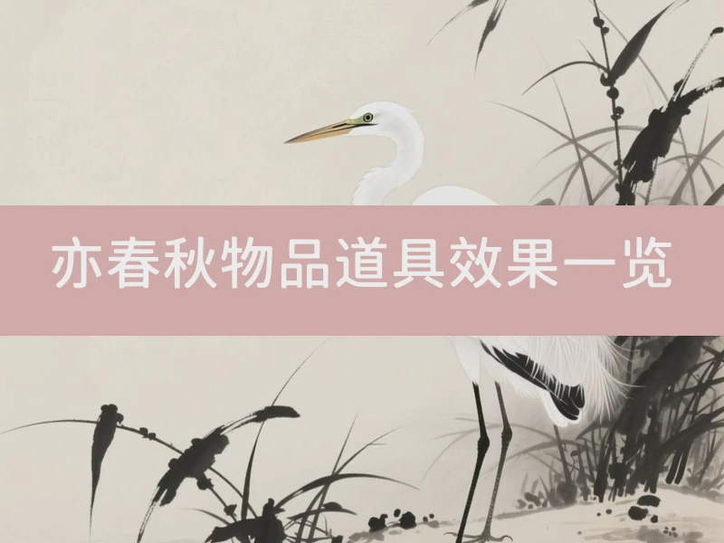 亦春秋物品道具效果一览