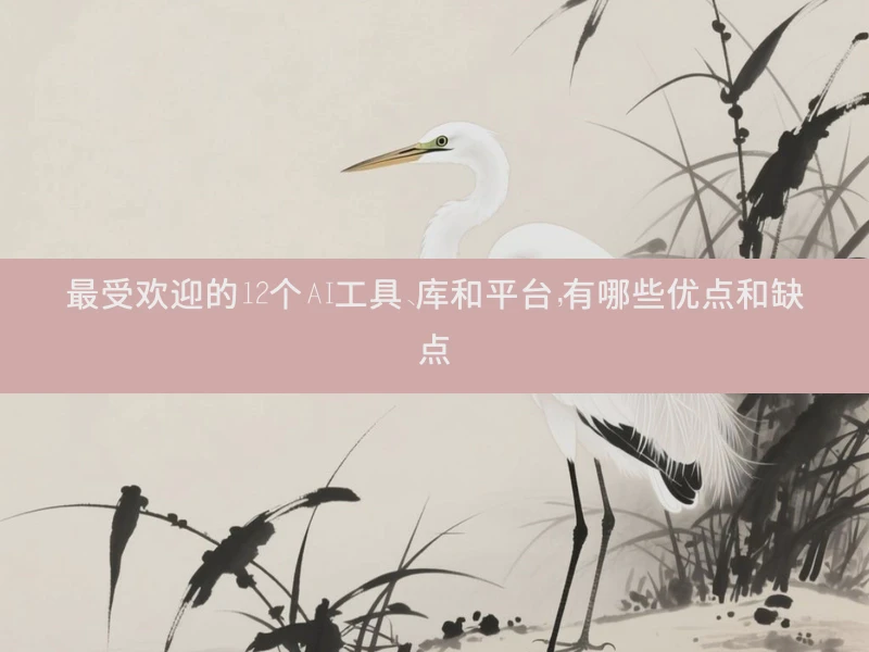 最受欢迎的12个AI工具、库和平台，有哪些优点和缺点