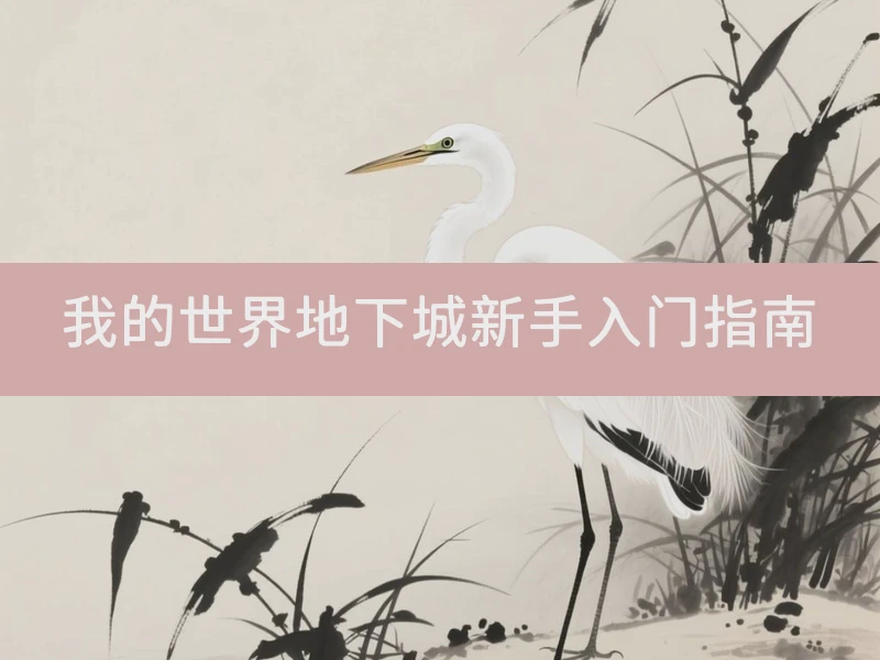 我的世界地下城新手入门指南