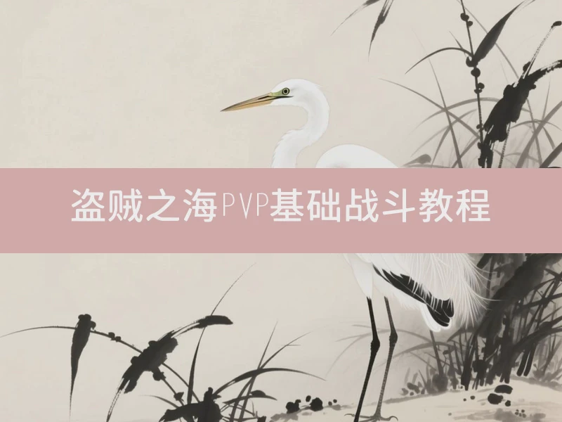 盗贼之海PVP基础战斗教程