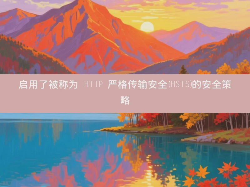启用了被称为 HTTP 严格传输安全（HSTS）的安全策略