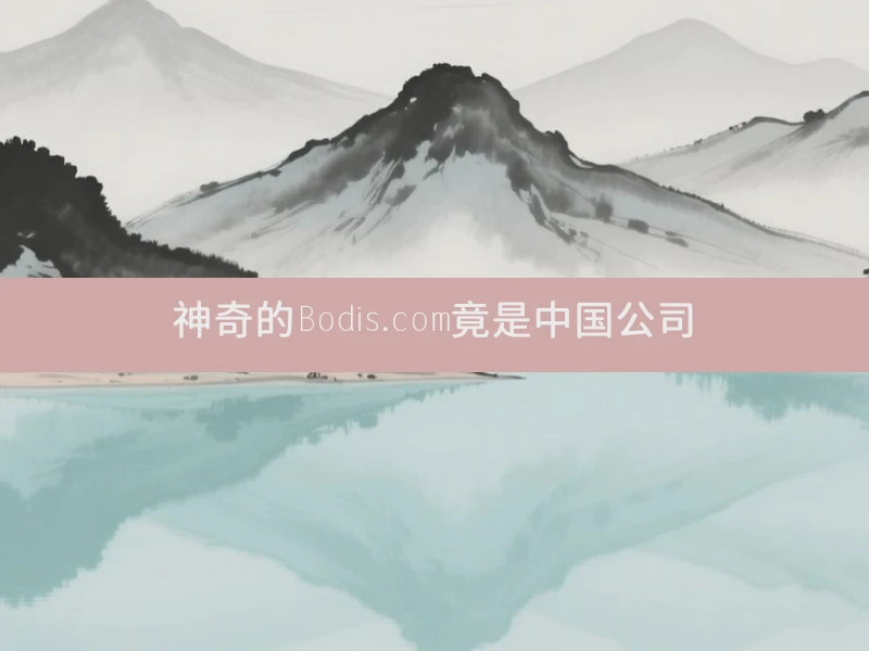 神奇的Bodis.com竟是中国公司