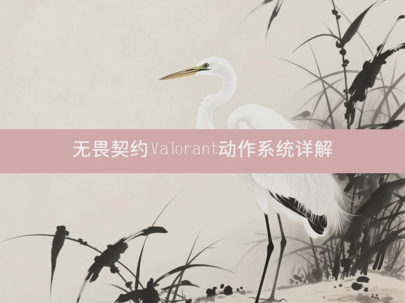 无畏契约Valorant动作系统详解