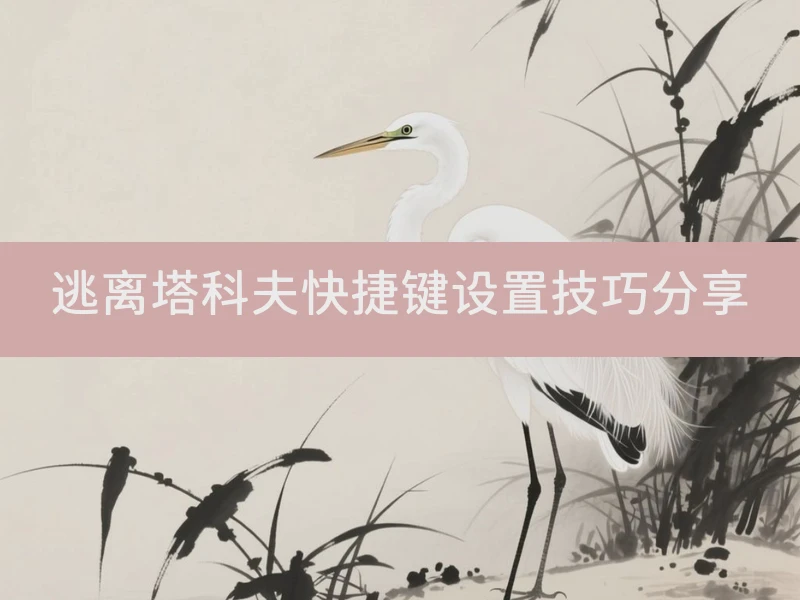 逃离塔科夫快捷键设置技巧分享