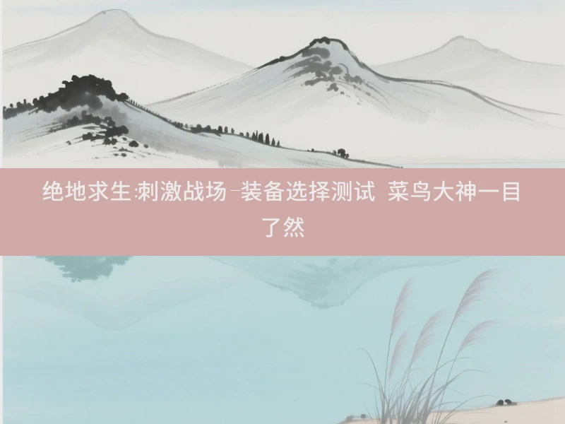 绝地求生：刺激战场-装备选择测试 菜鸟大神一目了然