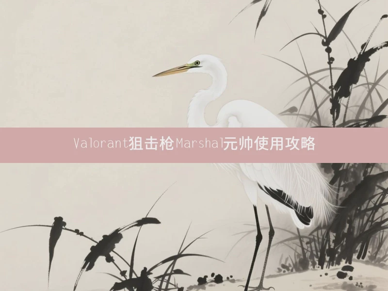 Valorant狙击枪Marshal元帅使用攻略