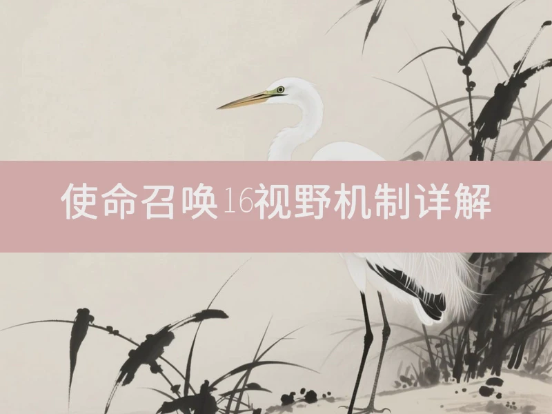 使命召唤16视野机制详解