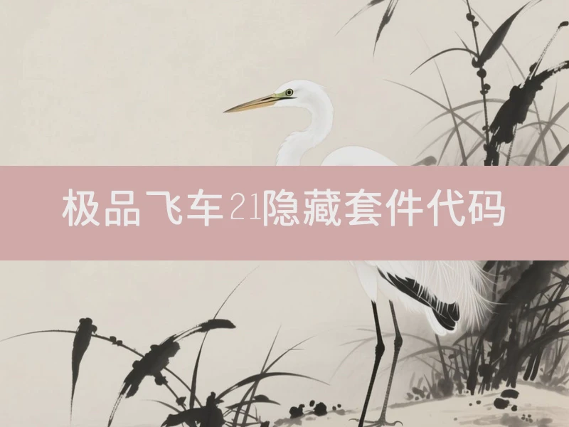 极品飞车21隐藏套件代码