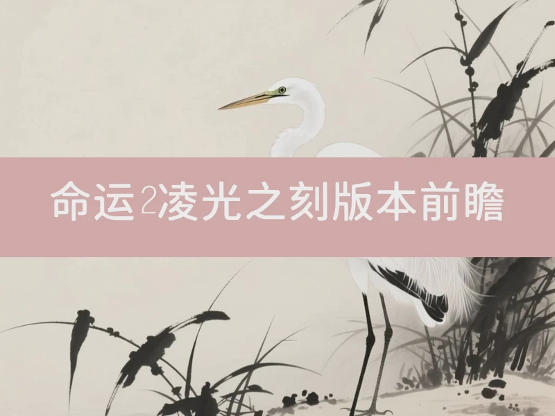 命运2凌光之刻版本前瞻