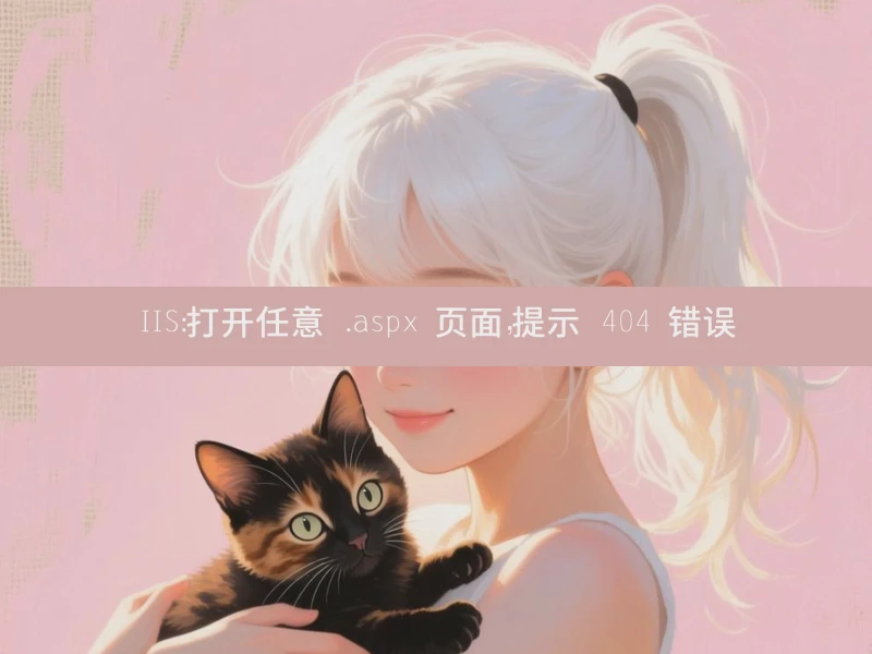 IIS：打开任意 .aspx 页面，提示 404 错误