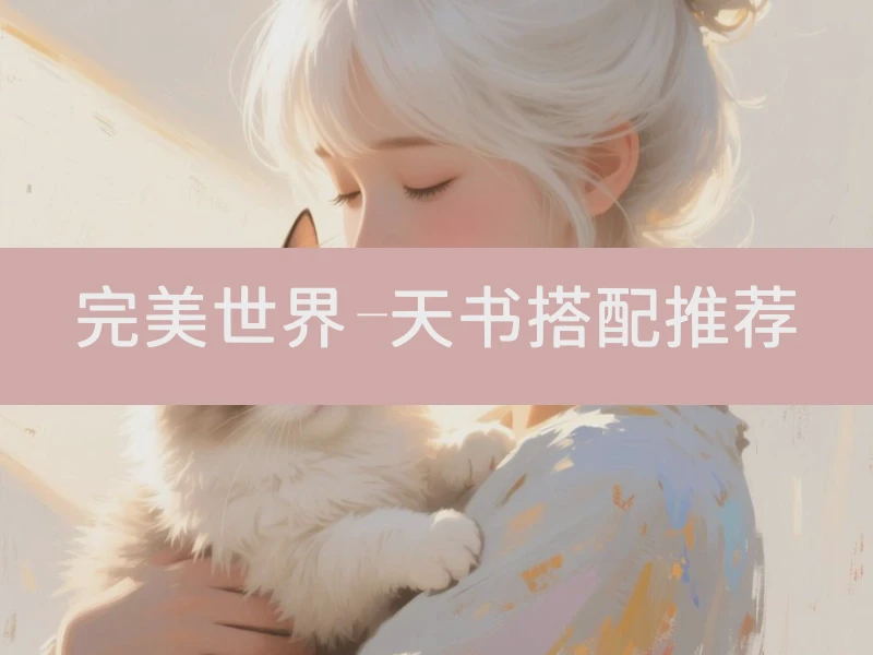 完美世界-天书搭配推荐