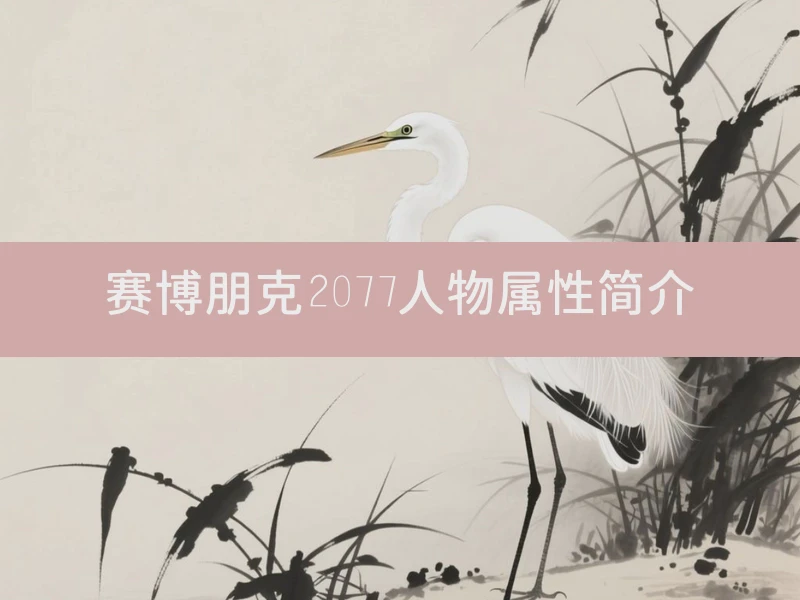 赛博朋克2077人物属性简介