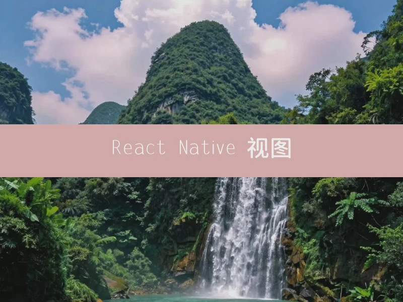 React Native 视图