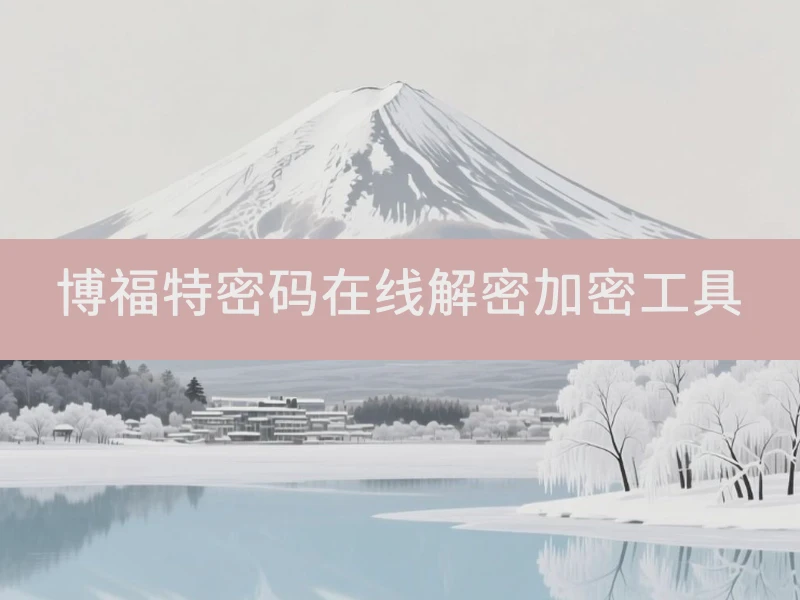 博福特密码在线解密加密工具