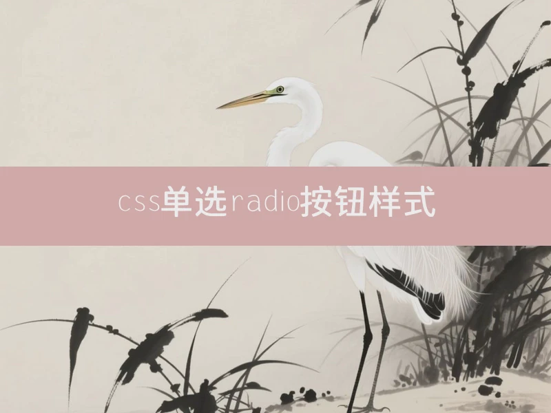 css单选radio按钮样式
