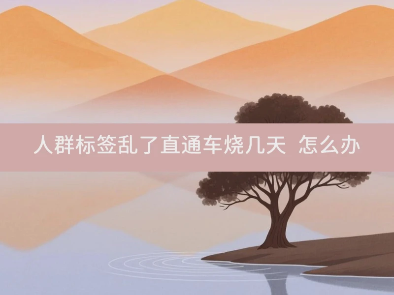 人群标签乱了直通车烧几天 怎么办