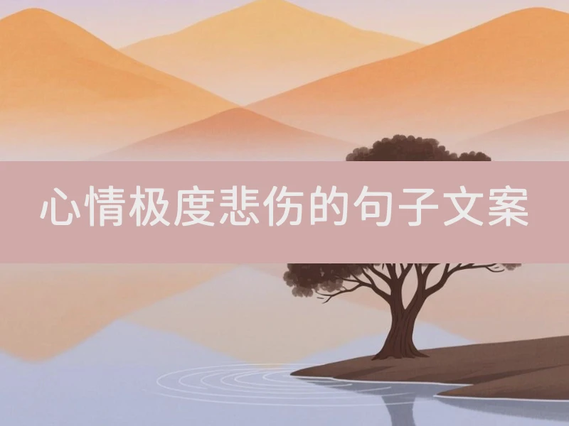 心情极度悲伤的句子文案
