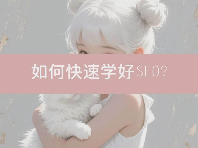 如何快速学好SEO？