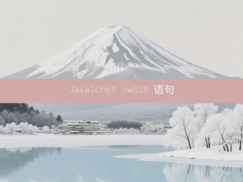 JavaScript switch 语句