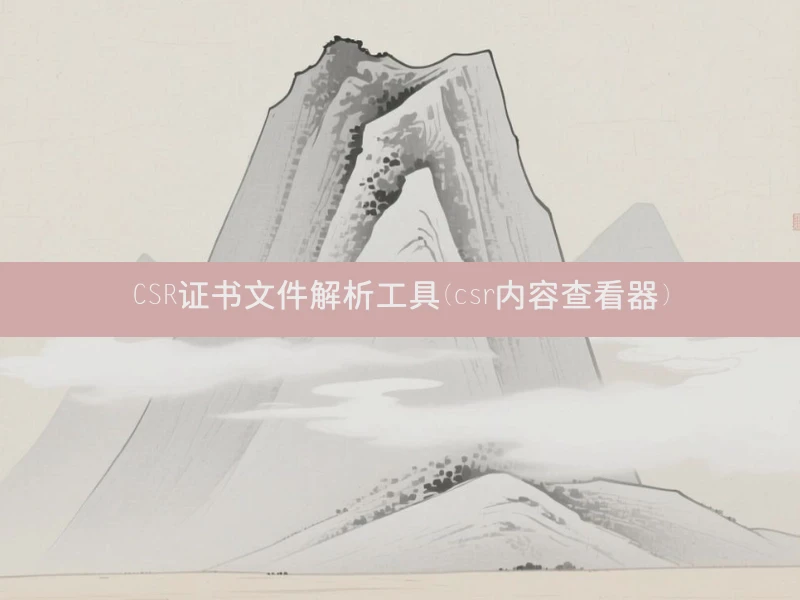 CSR证书文件解析工具(csr内容查看器)