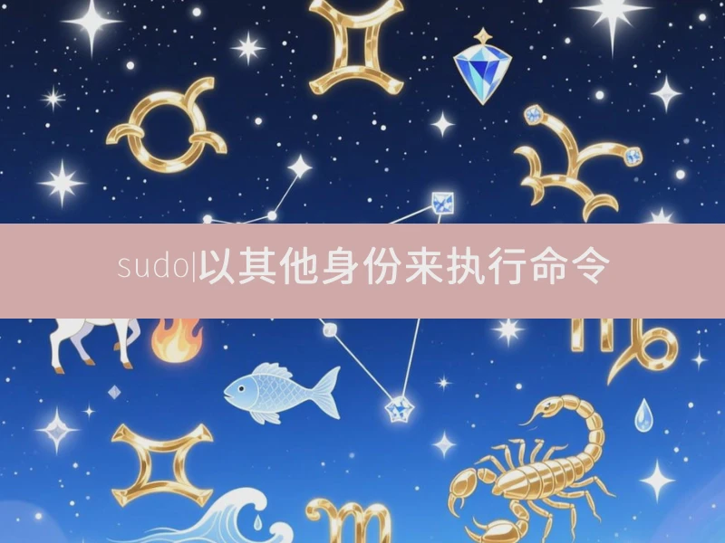 sudo|以其他身份来执行命令
