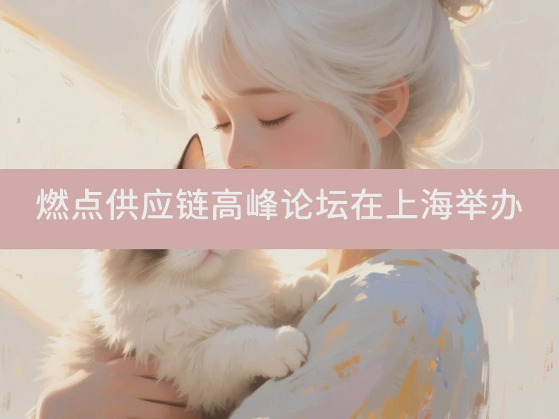 燃点供应链高峰论坛在上海举办