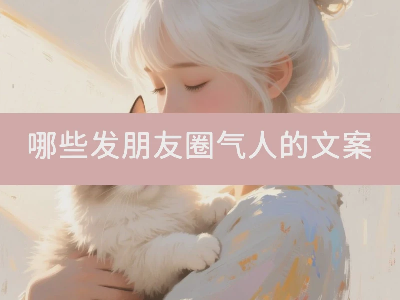 哪些发朋友圈气人的文案