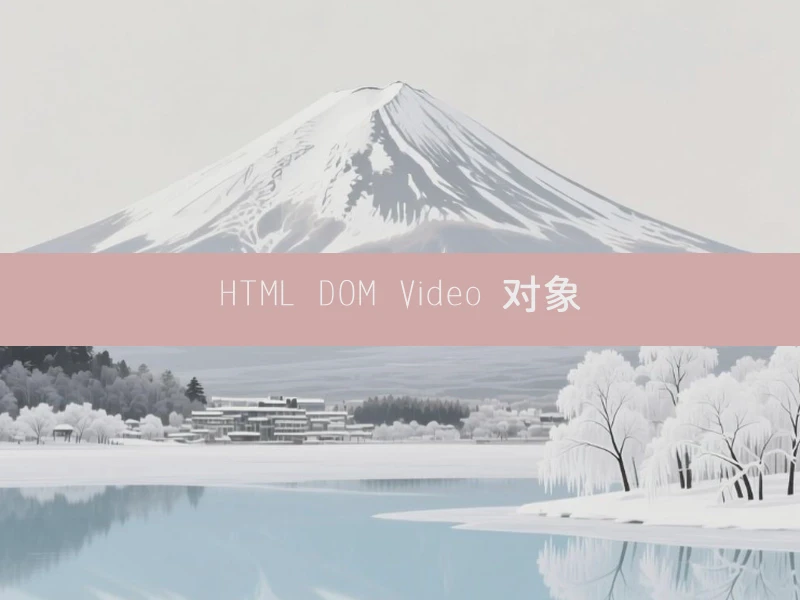 HTML DOM Video 对象