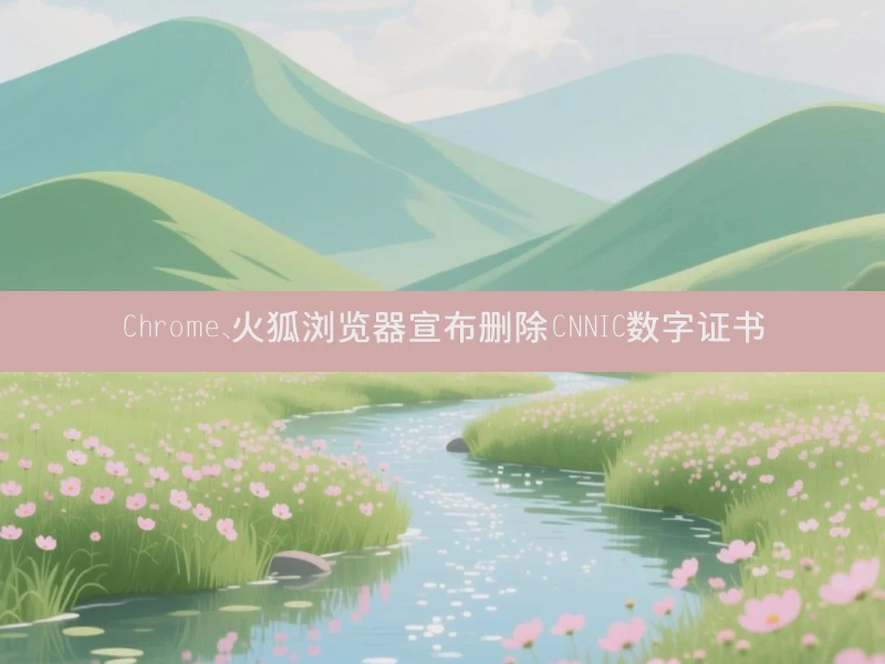 Chrome、火狐浏览器宣布删除CNNIC数字证书