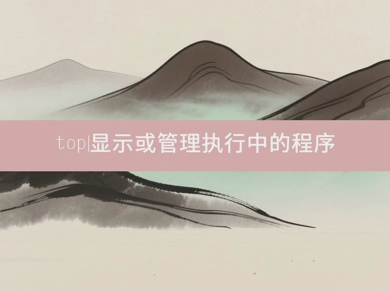 top|显示或管理执行中的程序