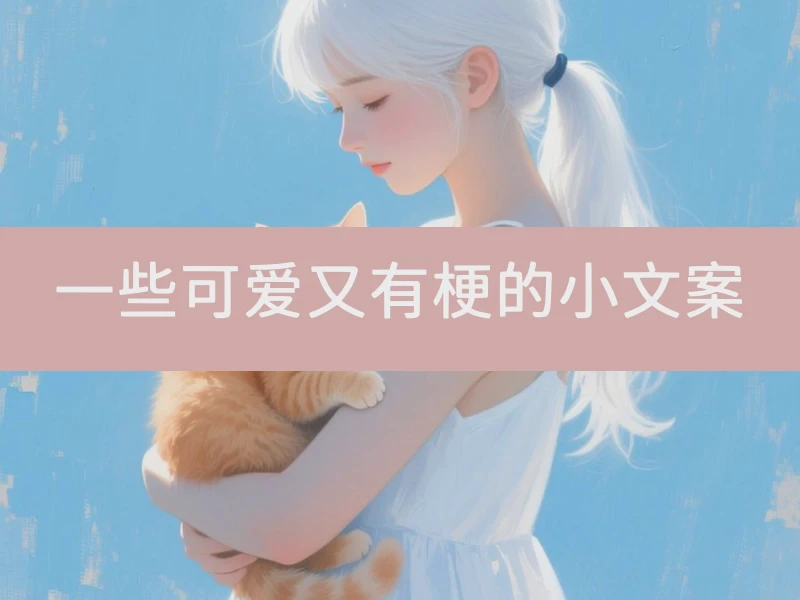 一些可爱又有梗的小文案