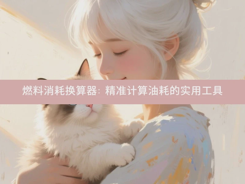 燃料消耗换算器： 精准计算油耗的实用工具