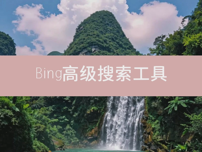 Bing高级搜索工具