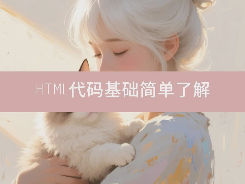 HTML代码基础简单了解