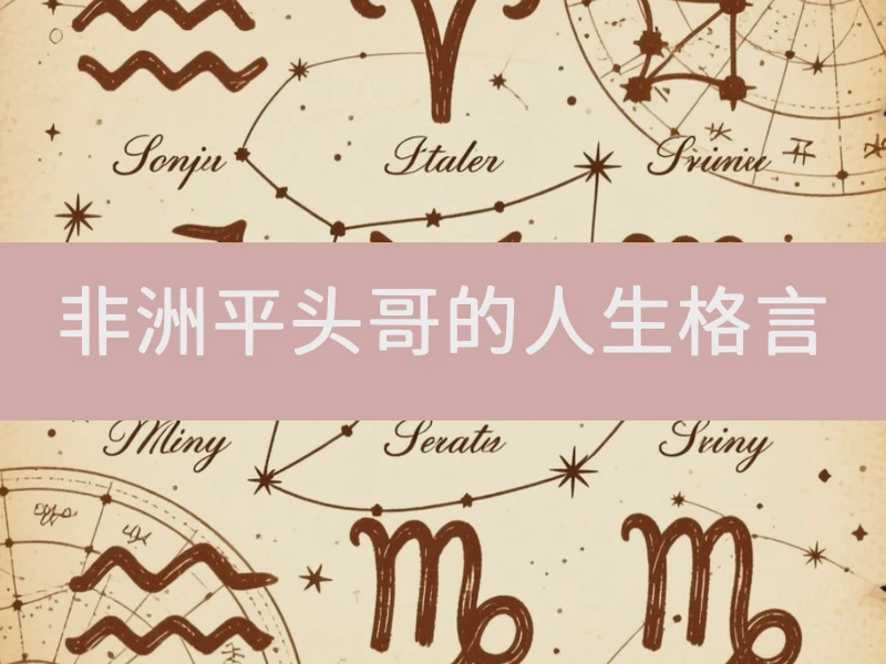 非洲平头哥的人生格言