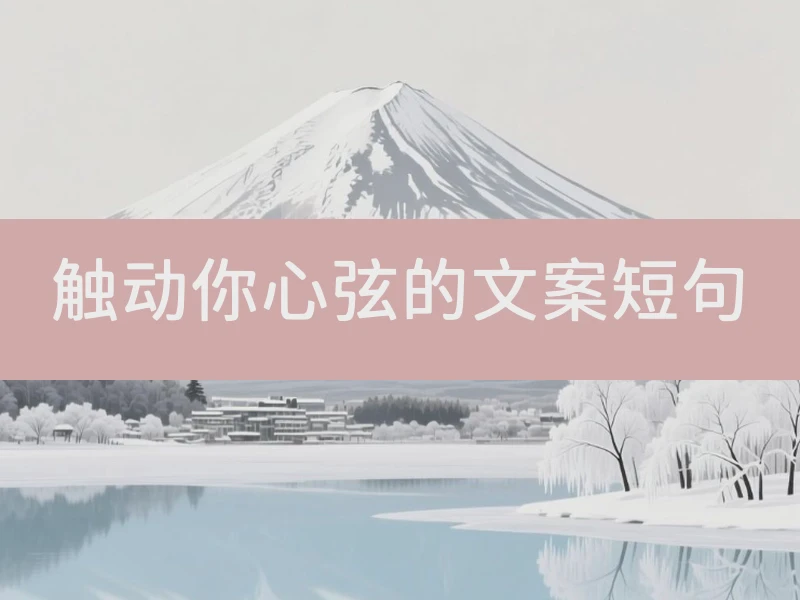 触动你心弦的文案短句
