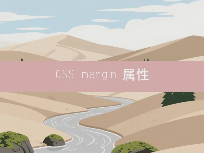 CSS margin 属性