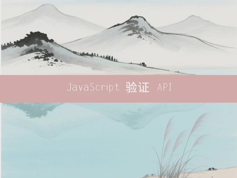 JavaScript 验证 API