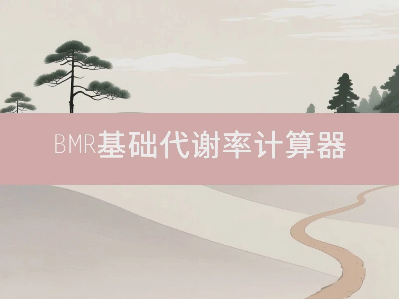 BMR基础代谢率计算器