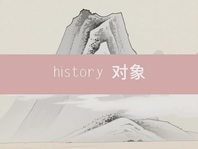 history 对象