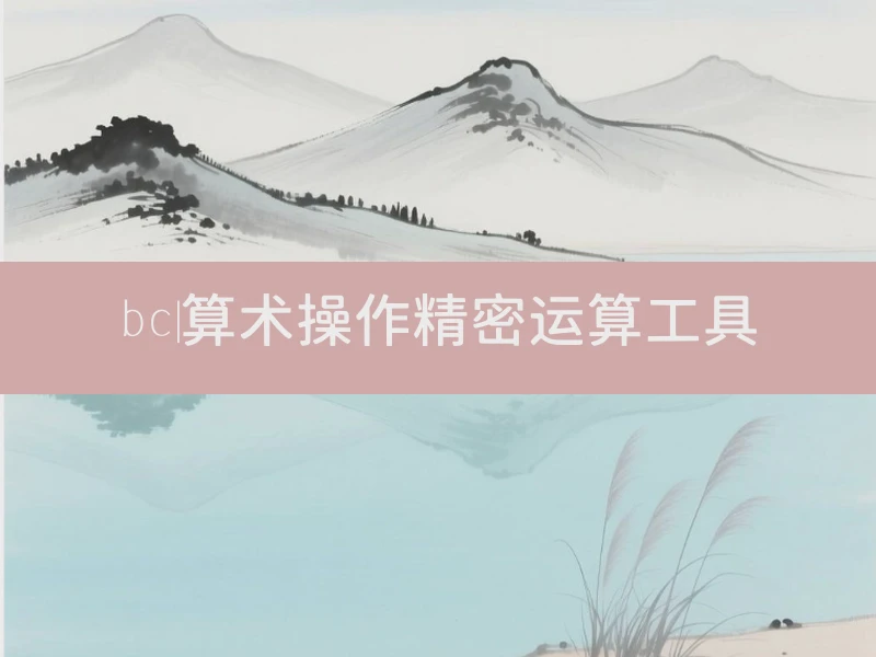 bc|算术操作精密运算工具