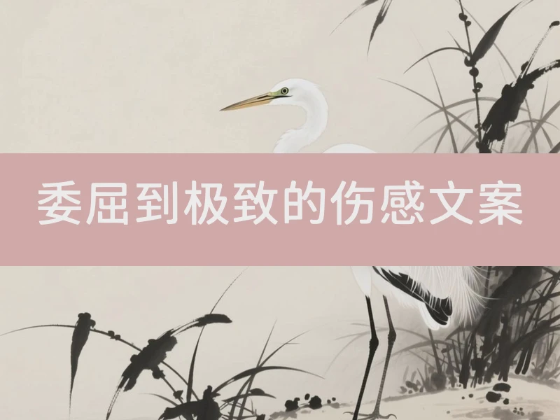 委屈到极致的伤感文案