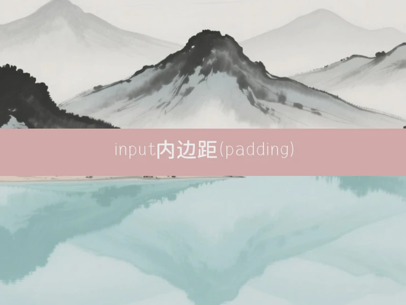 input内边距（padding）
